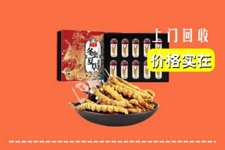 临夏积石山县回收冬虫夏草